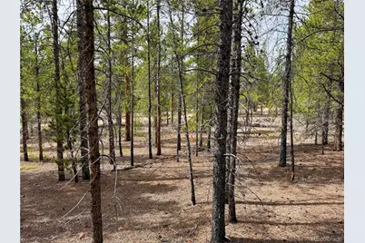 360 Peak View Drive, Leadville, CO 80461 - Photo 11