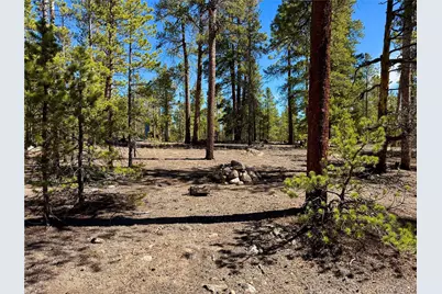 360 Peak View Drive, Leadville, CO 80461 - Photo 19