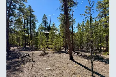 360 Peak View Drive, Leadville, CO 80461 - Photo 17