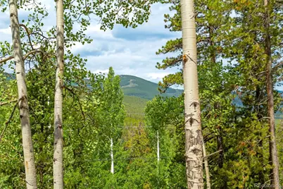 8680 London Lane, Conifer, CO 80433 - Photo 7