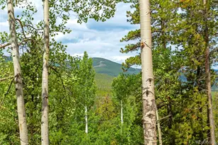 8680 London Ln, Conifer, CO 80433 - Photo 7