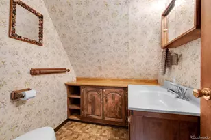 215 S Valley Dr, Lake George, CO 80827 - Photo 21