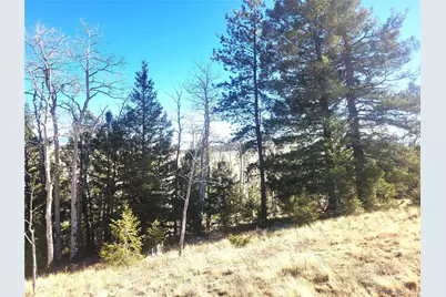 8802 Ranch Road, Hartsel, CO 80449 - Photo 1