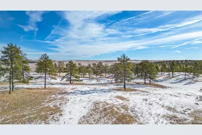 Parcel #3 W County Road 91, Ramah, CO 80832 - Photo 15