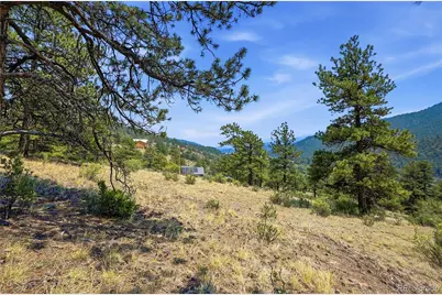 61 Cline Drive, Shawnee, CO 80475 - Photo 15
