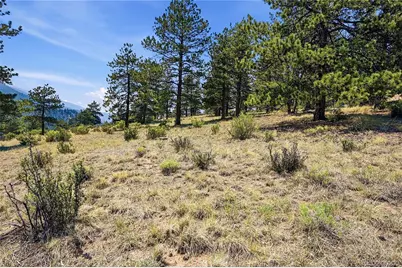 61 Cline Drive, Shawnee, CO 80475 - Photo 11