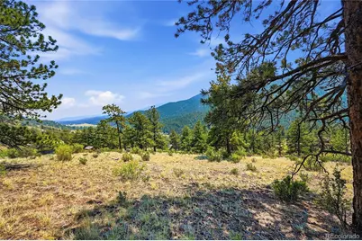 61 Cline Drive, Shawnee, CO 80475 - Photo 13