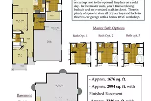 1975 Spencer Ave, Castle Rock, CO 80104 - Photo 5