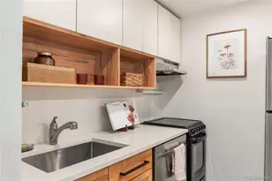 1270 N Marion Street, Denver, CO 80218 - Photo 17