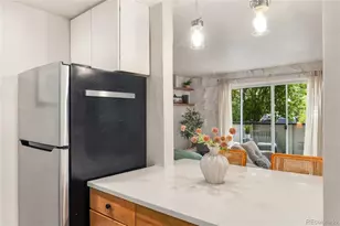 1270 N Marion Street, Denver, CO 80218 - Photo 9