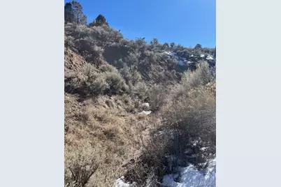 Lot 4875 Durante Road, Fort Garland, CO 81133 - Photo 17