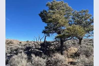 Lot 4875 Durante Road, Fort Garland, CO 81133 - Photo 23