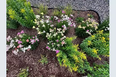 6578 Westcliff Drive, Frederick, CO 80516 - Photo 35