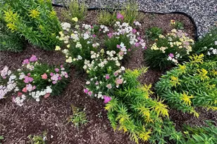 6578 Westcliff Dr, Frederick, CO 80516 - Photo 35