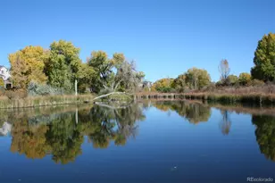 10735 Zuni Dr, Denver, CO 80234 - Photo 33