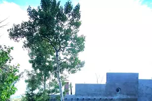 880 Burno Mountain Rd, Cotopaxi, CO 81223 - Photo 1