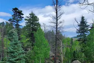 880 Burno Mountain Rd, Cotopaxi, CO 81223 - Photo 11