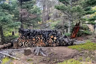 880 Burno Mountain Rd, Cotopaxi, CO 81223 - Photo 13