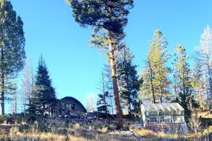 880 Burno Mountain Rd, Cotopaxi, CO 81223 - Photo 3