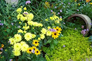 2714 W Irvington Pl, Denver, CO 80219 - Photo 7