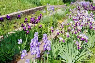 2714 W Irvington Pl, Denver, CO 80219 - Photo 21