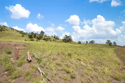 163 Keechi Road, Hartsel, CO 80449 - Photo 9