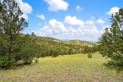 163 Keechi Road, Hartsel, CO 80449 - Photo 19