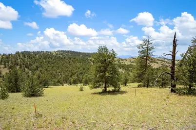 163 Keechi Road, Hartsel, CO 80449 - Photo 13