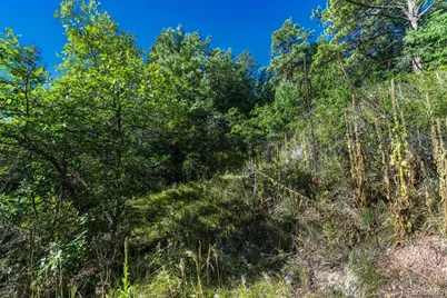 00 Columbine Road, Larkspur, CO 80118 - Photo 15