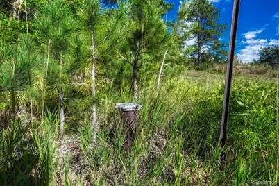 00 Columbine Road, Larkspur, CO 80118 - Photo 13