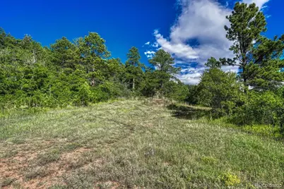 00 Columbine Road, Larkspur, CO 80118 - Photo 21