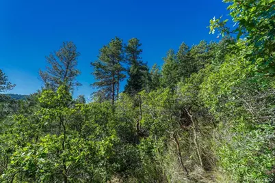 00 Columbine Road, Larkspur, CO 80118 - Photo 7