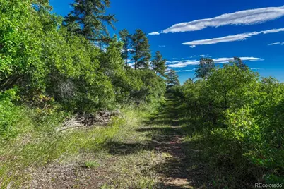 00 Columbine Road, Larkspur, CO 80118 - Photo 9