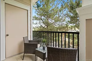 2169 Eagle Ave, Superior, CO 80027 - Photo 25