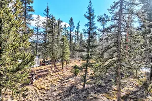 45 Swiggler Ct, Jefferson, CO 80456 - Photo 49