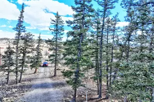 45 Swiggler Ct, Jefferson, CO 80456 - Photo 41