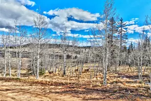45 Swiggler Ct, Jefferson, CO 80456 - Photo 37