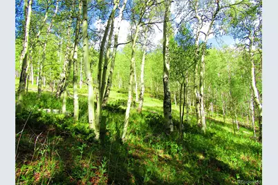 Lot 6427 Laffin Road, San Luis, CO 81152 - Photo 13