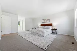 206 Defrance Way, Golden, CO 80401 - Photo 19