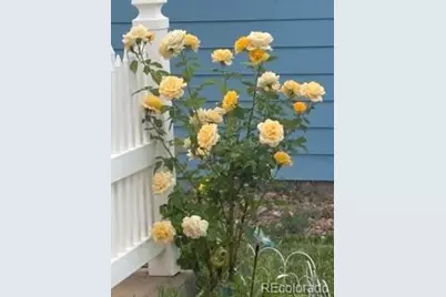 6405 Hollyhock Green #62, Frederick, CO 80530 - Photo 13