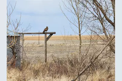 50416 County Road 22, Ramah, CO 80832 - Photo 47