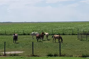 50416 Co Rd 22, Ramah, CO 80832 - Photo 33