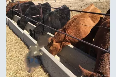 50416 County Road 22, Ramah, CO 80832 - Photo 41