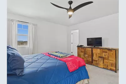 2907 Distant Rock Avenue, Castle Rock, CO 80109 - Photo 17