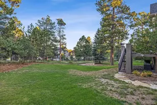 5440 Soapweed Cir, Parker, CO 80134 - Photo 45