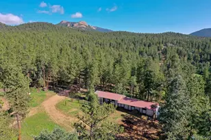 325 Rd D, Pine, CO 80470 - Photo 31