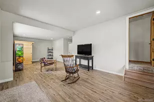 321 E Cline Dr, Shawnee, CO 80475 - Photo 19