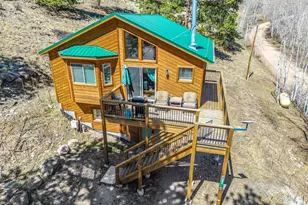 321 E Cline Dr, Shawnee, CO 80475 - Photo 33