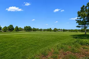 15 Tamerlain Ct, Littleton, CO 80130 - Photo 47