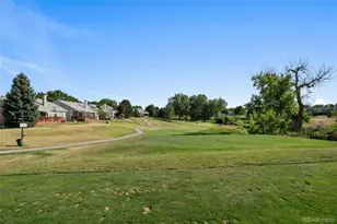 15 Tamerlain Ct, Littleton, CO 80130 - Photo 43